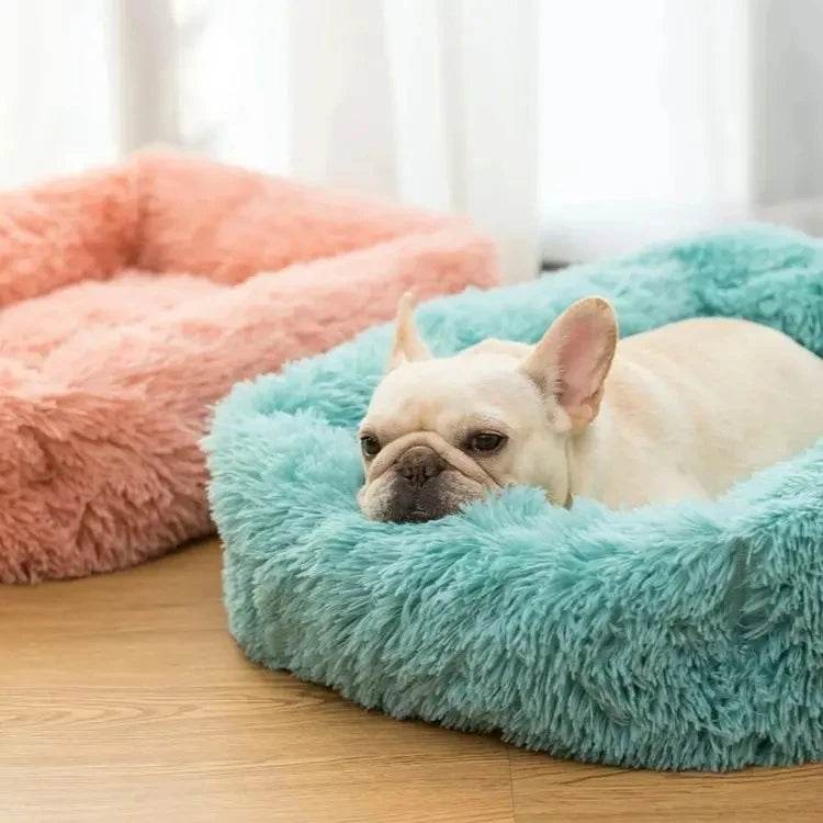 Lit rectangulaire en peluche pour chien, tapis chaud d'hiver, petit, moyen et grand animal de compagnie, lit pour chien, chenil, chiot, coussin pour chat, accessoires de canapé - Animaleriex