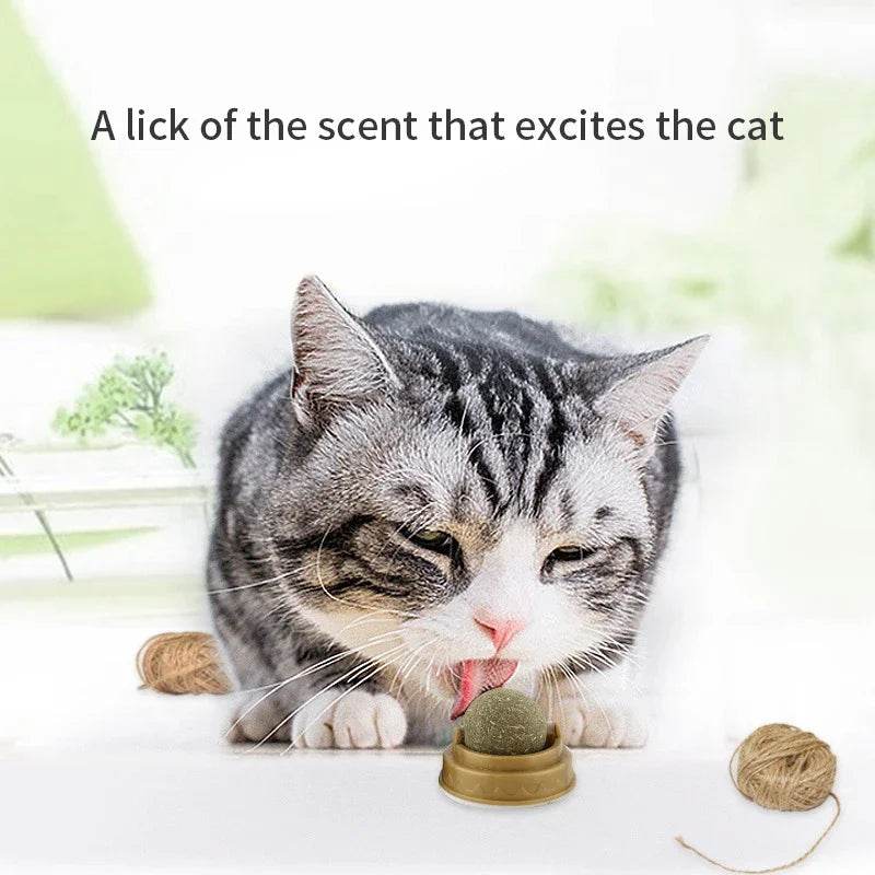 Poste à gratter naturel en herbe à chat, grattoir pour chat, autocollant mural, boule, jouet, produits pour animaux de compagnie, jouets thérapeutiques sains, maison - Animaleriex