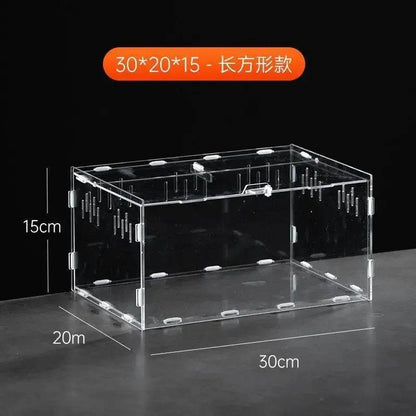 Boîte d'élevage de Terrarium pour reptiles, boîtier en acrylique, boîtier Nano arboricole pour tarentule, araignée, Scorpion, Dragon barbu - Animaleriex