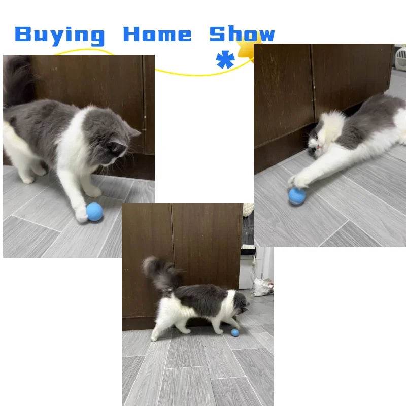 Balle Interactive pour chat, jouets intelligents pour animaux de compagnie, boule magique à roulement automatique d'intérieur, jouet interactif électronique, accessoires de jeu pour chat - Animaleriex