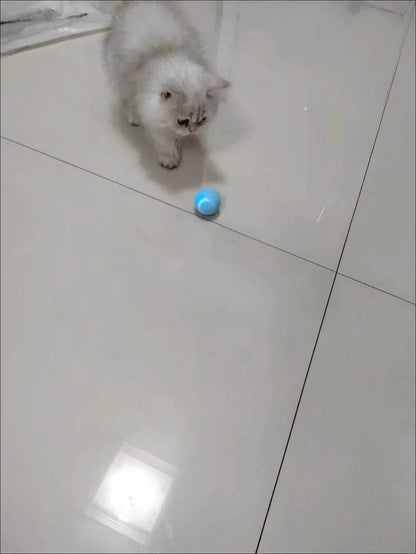 Balle Interactive pour chat, jouets intelligents pour animaux de compagnie, boule magique à roulement automatique d'intérieur, jouet interactif électronique, accessoires de jeu pour chat - Animaleriex