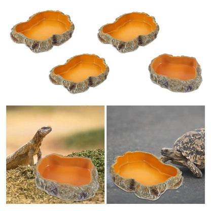 Bols d'eau pour reptiles, plaque de Terrarium, mangeoire pour amphibiens, grenouille, caméléon, tortue, Dragon barbu, tortue - Animaleriex