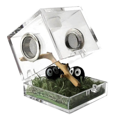 Boîte d'élevage de Reptiles, Cage en acrylique transparent, boîte d'alimentation pour insectes, réservoir de Terrarium anti-fuite pour araignée sautante, 3 tailles - Animaleriex