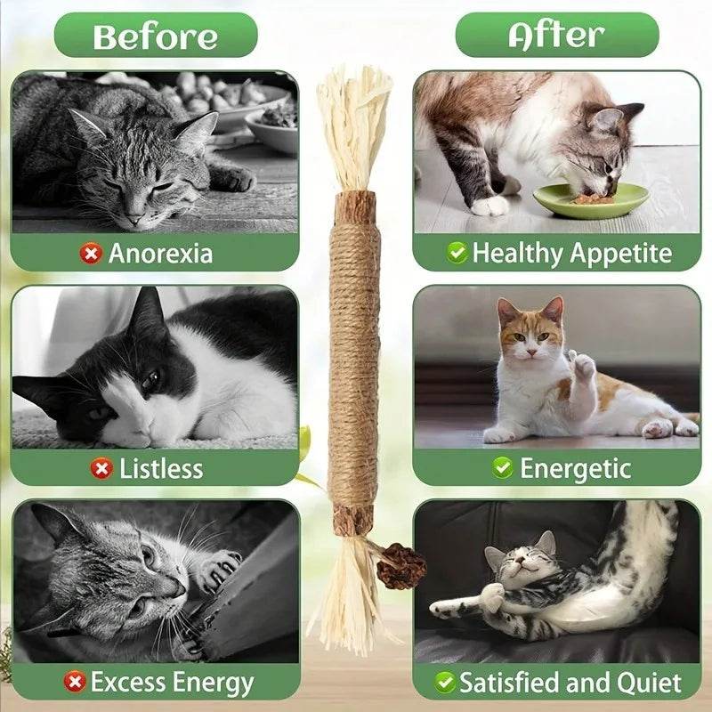 Jouets pour chats, bâton à mâcher en vigne argentée, Polygonum Kitty, herbe de raphia, fournitures pour animaux de compagnie, bâton de nettoyage des dents, morsure d'animal de compagnie, jouet pour chat, corde de chanvre, 1 pièce - Animaleriex