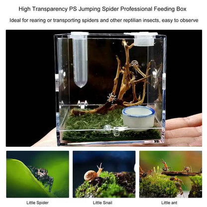 Boîte d'élevage de Reptiles, Cage en acrylique transparent, boîte d'alimentation pour insectes, réservoir de Terrarium anti-fuite pour araignée sautante, 3 tailles - Animaleriex