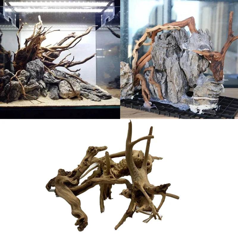 Tronc d'arbre naturel bois flotté Aquarium Aquarium plante bois décoration ornement Aquarium décoration Aquarium accessoires - Animaleriex