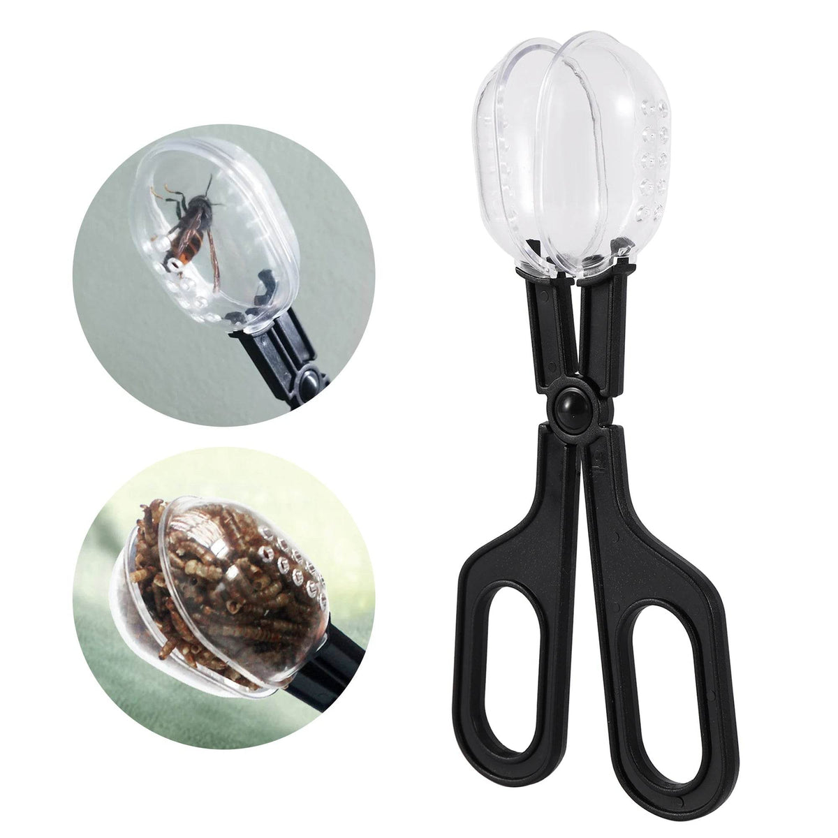 Reptile Terrarium lézards pinces en plastique pince à épiler outil d'alimentation pour animaux de compagnie pince enfants école plante insecte biologie outil d'étude - Animaleriex