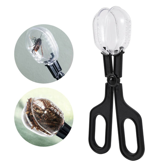 Reptile Terrarium lézards pinces en plastique pince à épiler outil d'alimentation pour animaux de compagnie pince enfants école plante insecte biologie outil d'étude - Animaleriex