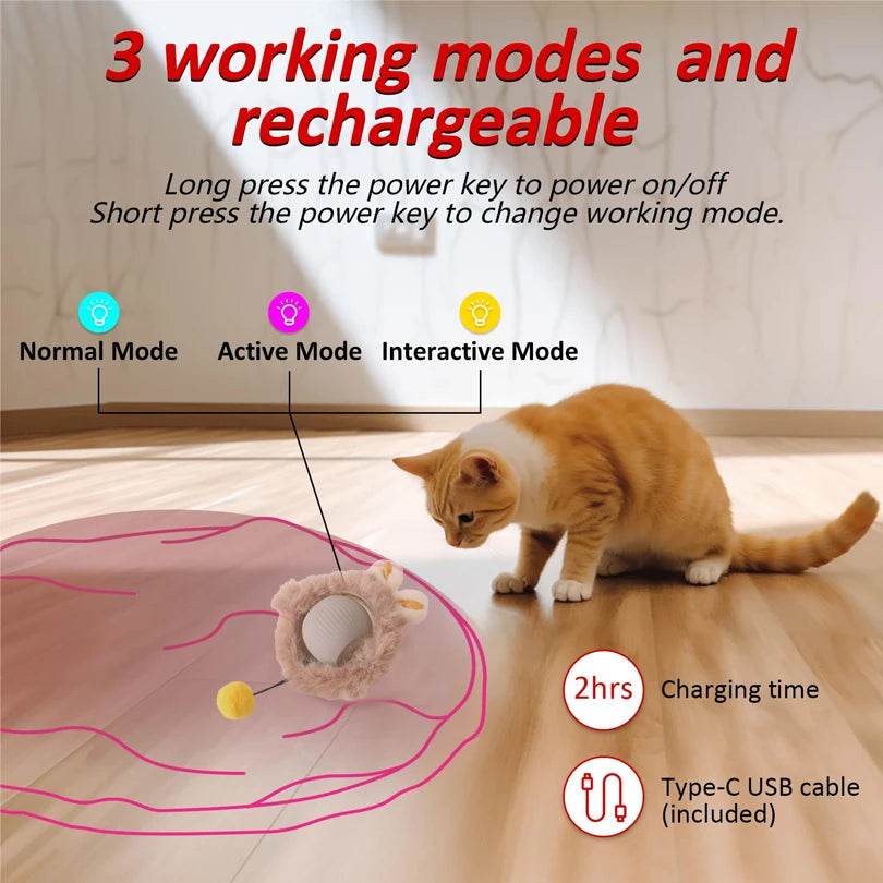 Jouets interactifs pour chat, balle à roulement rapide dans une pochette, jouet pour chaton, cache-cache, activé par le mouvement, pour l'intérieur - Animaleriex