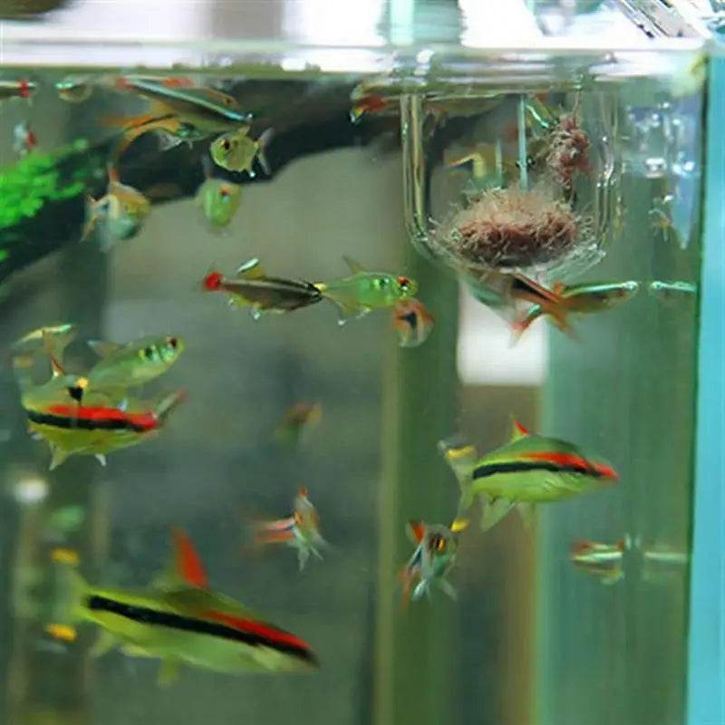 Pot de décoration d'aquarium, Pot en acrylique pour plantes aquatiques, avec support d'aspiration, cylindre de plantation, outil de décoration d'aquarium - Animaleriex