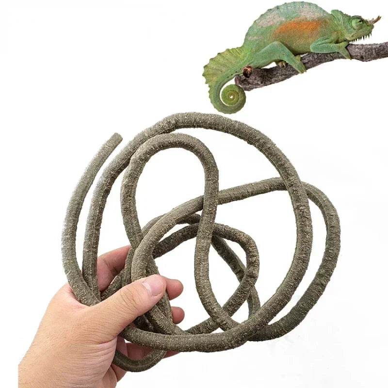 Grandes vignes flexibles en rotin, décoration d'habitat, Branches de Jungle pliables, fournitures pour animaux de compagnie, décor de Terrarium pour Reptiles, 1.5/2.5/3m - Animaleriex