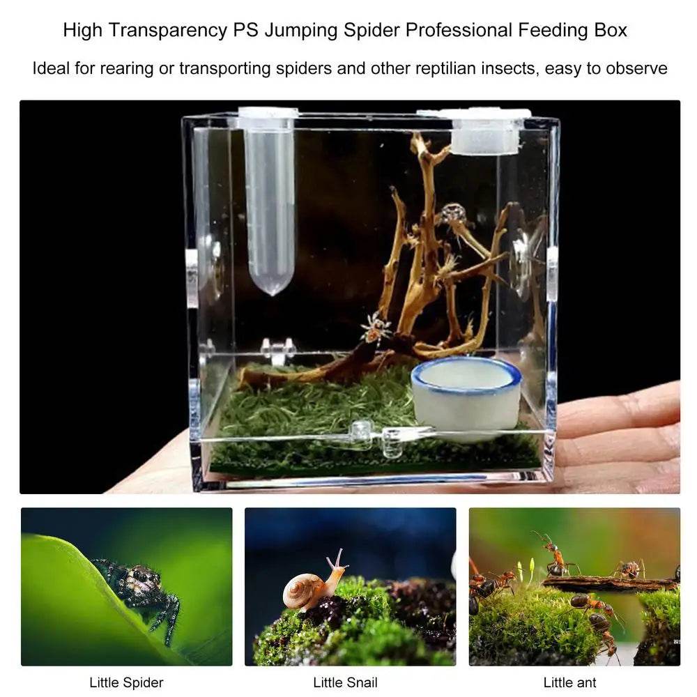 Boîte d'élevage de Reptiles, Cage en acrylique transparent, boîte d'alimentation pour insectes, réservoir de Terrarium anti-fuite pour araignée sautante, 3 tailles - Animaleriex