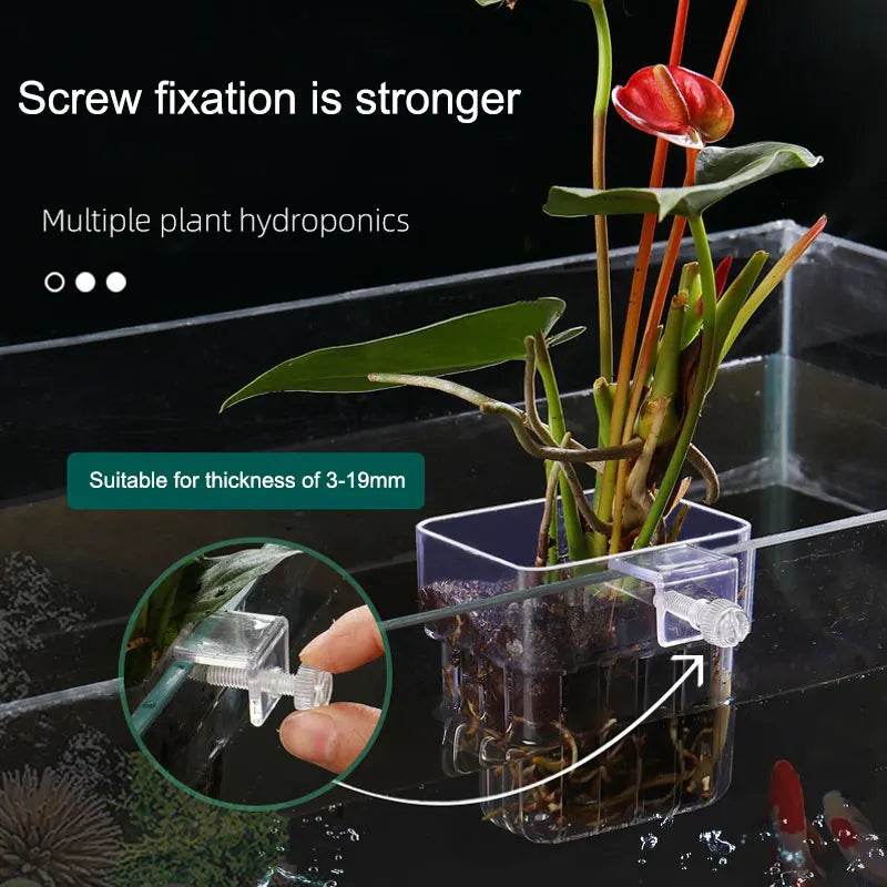 Bulles de poisson, tasse d'herbe d'eau d'aquarium, panier de plantation hydroponique pour plantes multiples, pour paysage d'aquarium - Animaleriex