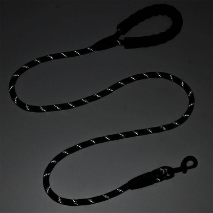 Laisse réfléchissante pour chien 1,5 m Laisse en nylon pour chien Poignée rembourrée confortable Marche en plein air Petit Moyen Grand Accessoires pour chiens Fournitures - Animaleriex