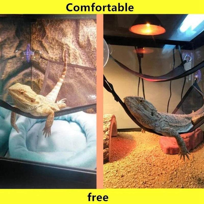 Ensemble d'accessoires d'échelle de chaise longue de hamac de Reptile pour les grands petits dragons barbus Anole Geckos lézards ou serpents accessoire de Reptile - Animaleriex