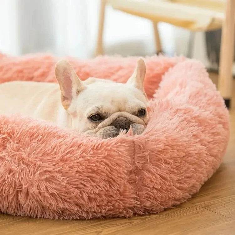 Lit rectangulaire en peluche pour chien, tapis chaud d'hiver, petit, moyen et grand animal de compagnie, lit pour chien, chenil, chiot, coussin pour chat, accessoires de canapé - Animaleriex