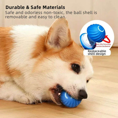 Balle électronique Interactive pour animaux de compagnie, jouet interactif pour chien, intelligent, mobile, saut par gravité, produits pour animaux de compagnie, Rechargeable - Animaleriex
