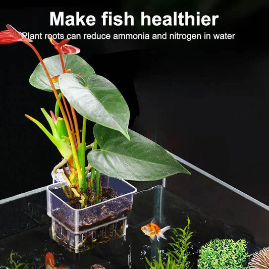 Bulles de poisson, tasse d'herbe d'eau d'aquarium, panier de plantation hydroponique pour plantes multiples, pour paysage d'aquarium - Animaleriex
