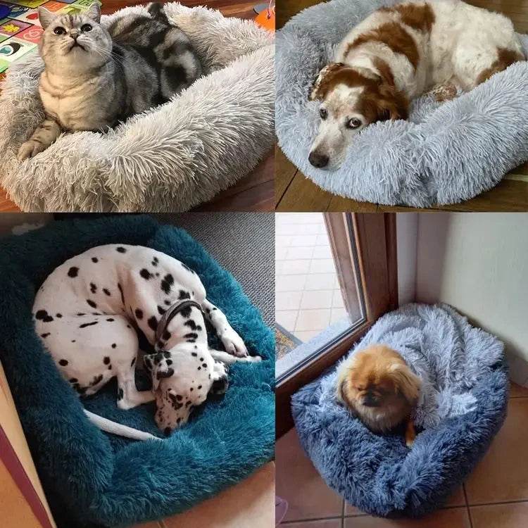 Lit rectangulaire en peluche pour chien, tapis chaud d'hiver, petit, moyen et grand animal de compagnie, lit pour chien, chenil, chiot, coussin pour chat, accessoires de canapé - Animaleriex