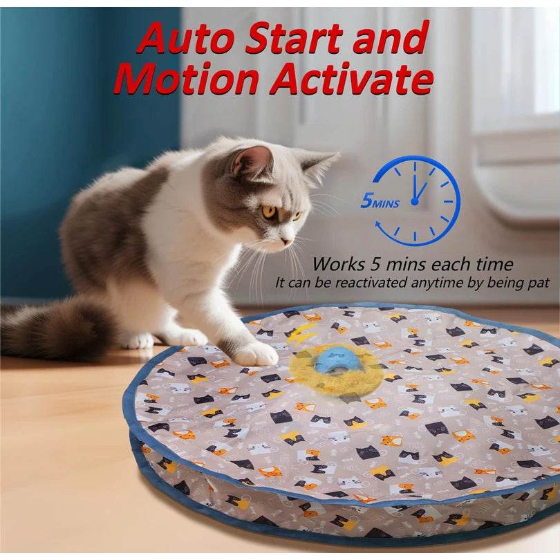 Jouets interactifs pour chat, balle à roulement rapide dans une pochette, jouet pour chaton, cache-cache, activé par le mouvement, pour l'intérieur - Animaleriex