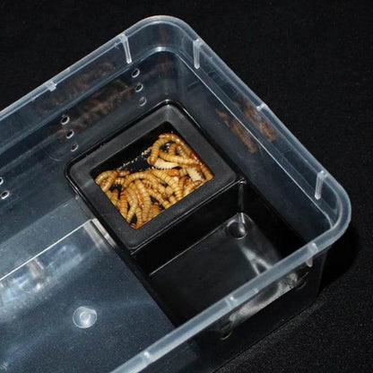 Bol d'alimentation en plastique pour reptiles, Double grille Anti-fuite, bassin d'alimentation en eau, araignée, lézard, insectes, tortue, fournitures d'élevage - Animaleriex