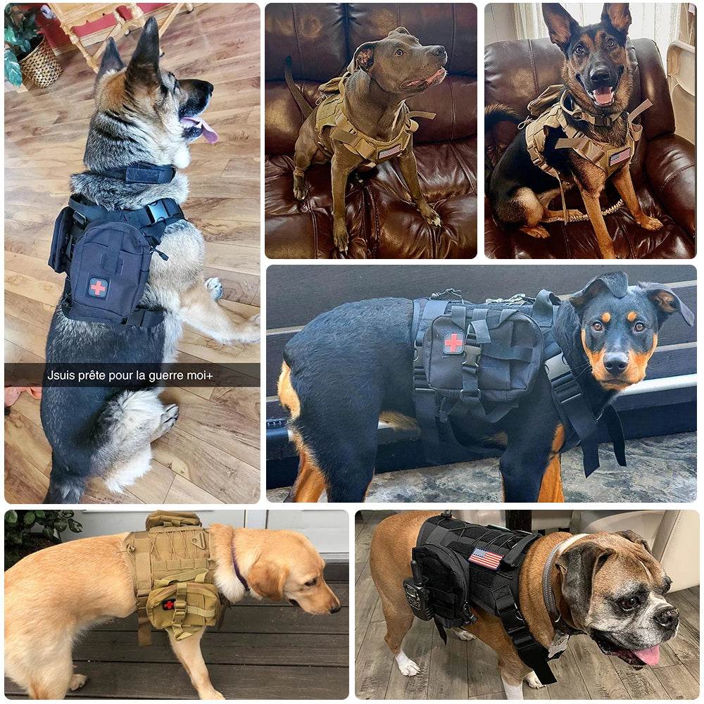 Harnais tactique pour chien, gilet d'entraînement pour animaux de compagnie, harnais militaire pour chien, collier de laisse pour petits, moyens et grands chiens, marche et chasse - Animaleriex