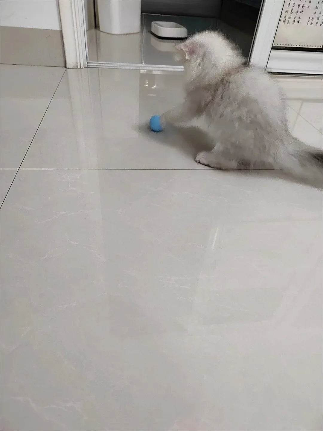 Balle Interactive pour chat, jouets intelligents pour animaux de compagnie, boule magique à roulement automatique d'intérieur, jouet interactif électronique, accessoires de jeu pour chat - Animaleriex