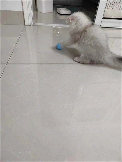 Balle Interactive pour chat, jouets intelligents pour animaux de compagnie, boule magique à roulement automatique d'intérieur, jouet interactif électronique, accessoires de jeu pour chat - Animaleriex