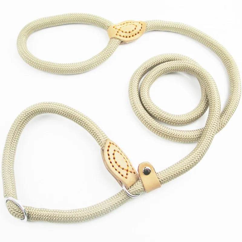 Laisse pour chien, corde coulissante, laisse en plomb, corde tressée robuste, collier à boucle réglable, laisse d'entraînement pour chiens de taille moyenne et grande - Animaleriex