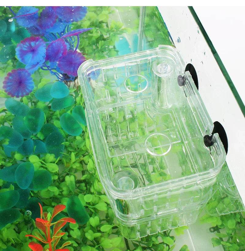 Boîte d'isolation multifonctionnelle pour l'élevage de poissons d'aquarium, incubateur d'aquarium à haute transparence, Double Guppies, incubateur d'éclosion - Animaleriex