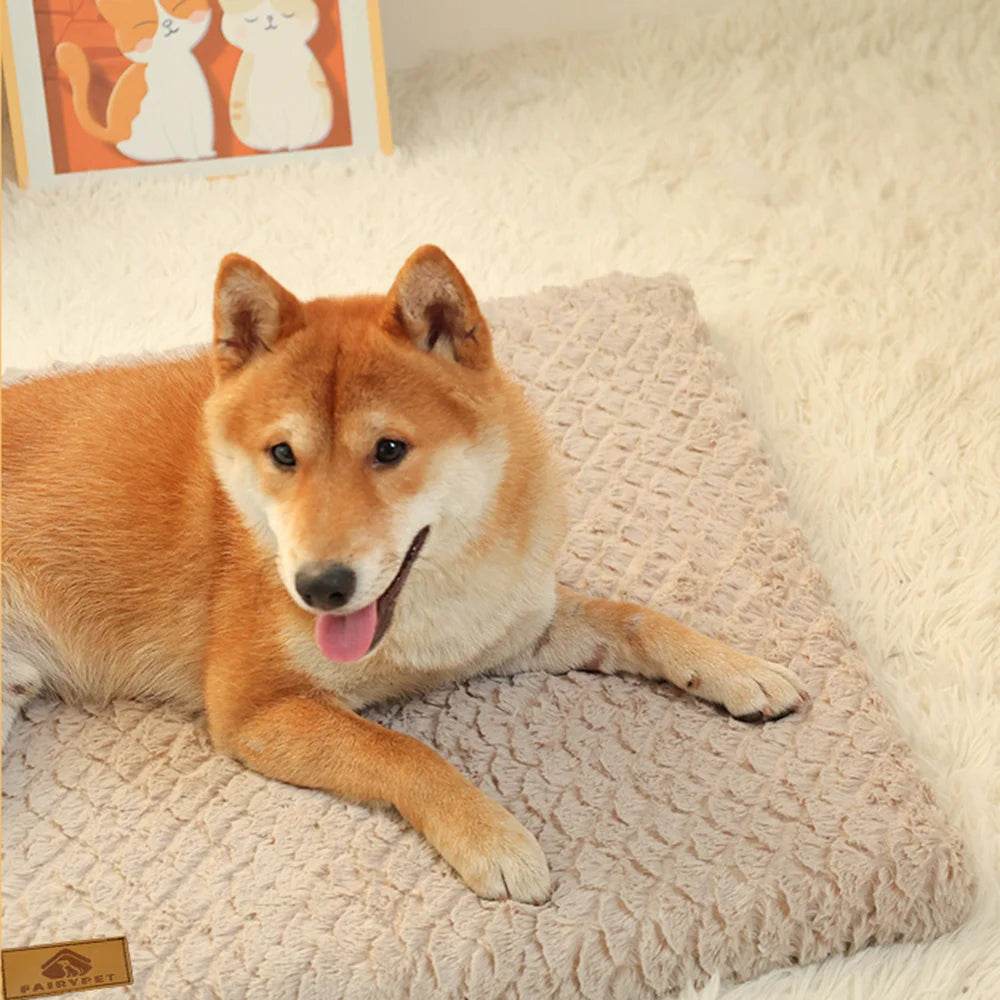 Lit pour animaux de compagnie en mousse à mémoire de forme, avec housse amovible en fausse fourrure lavable, lit orthopédique imperméable pour chien, caisse à fond antidérapant - Animaleriex