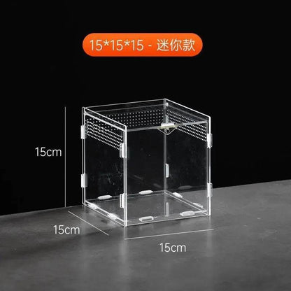 Boîte d'élevage de Terrarium pour reptiles, boîtier en acrylique, boîtier Nano arboricole pour tarentule, araignée, Scorpion, Dragon barbu - Animaleriex