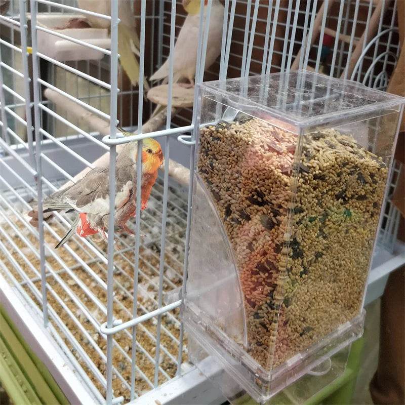 Mangeoires automatiques pour oiseaux, sans gâchis, pour perroquets, conteneur de nourriture en acrylique, accessoires de Cage pour petites et moyennes perruches - Animaleriex
