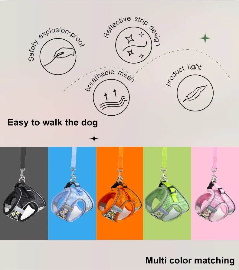 Harnais et laisse en maille de Nylon pour chat, respirant, pour chaton, petit chien, chiot, bouledogue français, Chihuahua, carlin - Animaleriex