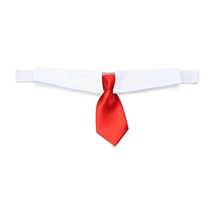 Cravate formelle pour chien et chat, nœud papillon de smoking, collier noir et rouge pour chien et chat, accessoires pour animaux de compagnie, pour mariage, vacances et cadeau de fête - Animaleriex