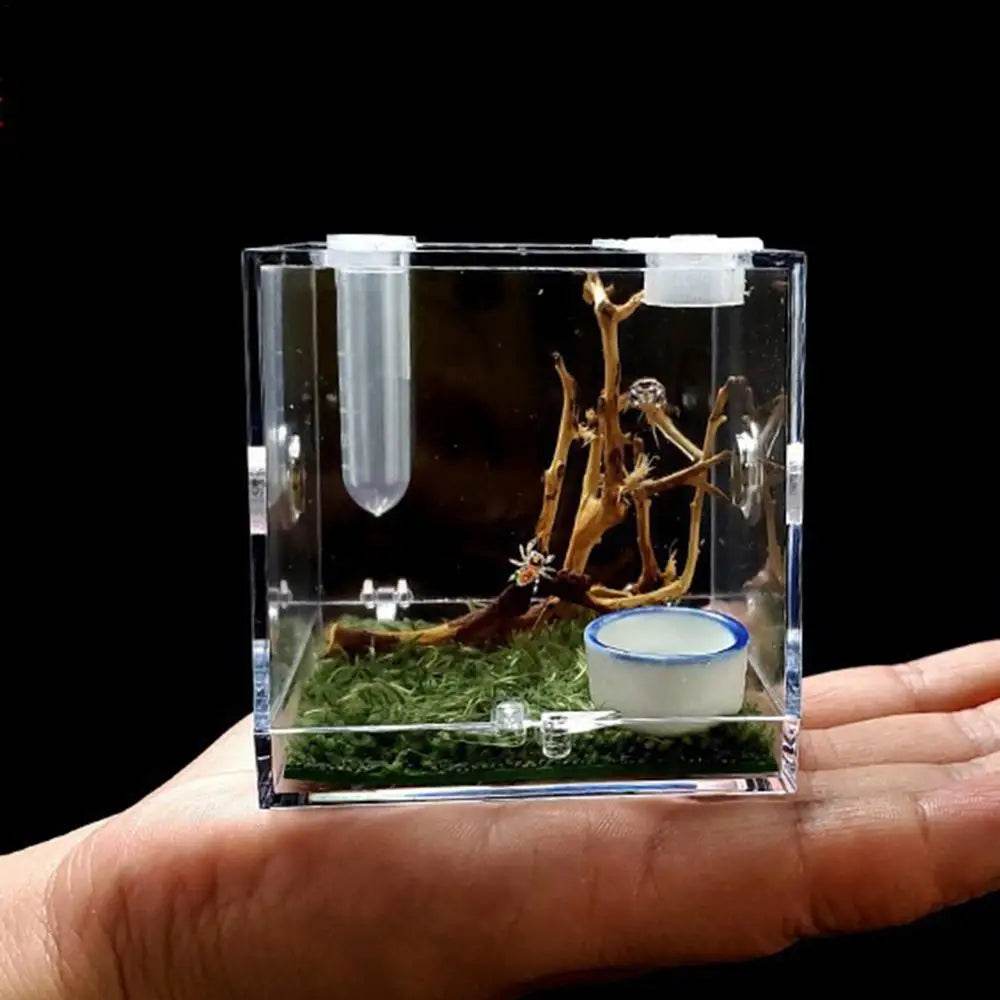 Boîte d'élevage de Reptiles, Cage en acrylique transparent, boîte d'alimentation pour insectes, réservoir de Terrarium anti-fuite pour araignée sautante, 3 tailles - Animaleriex