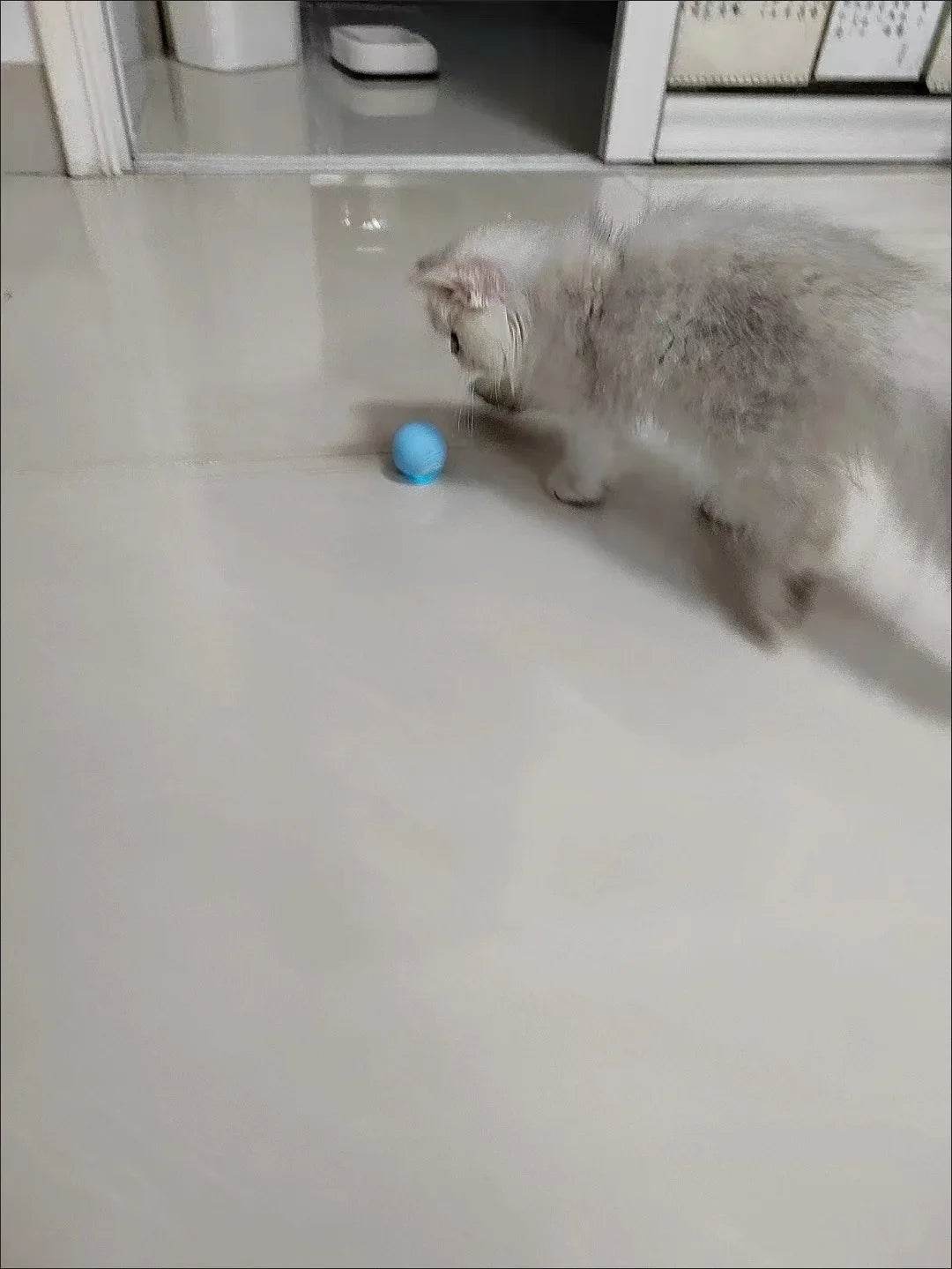 Balle Interactive pour chat, jouets intelligents pour animaux de compagnie, boule magique à roulement automatique d'intérieur, jouet interactif électronique, accessoires de jeu pour chat - Animaleriex