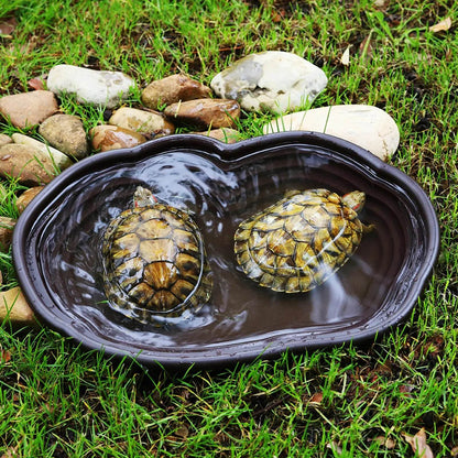 Piscine de baignade pour reptiles, accessoires pour amphibiens, grand bol d'eau avec rampe pour tortue, Hamster, Scorpion, léopard - Animaleriex