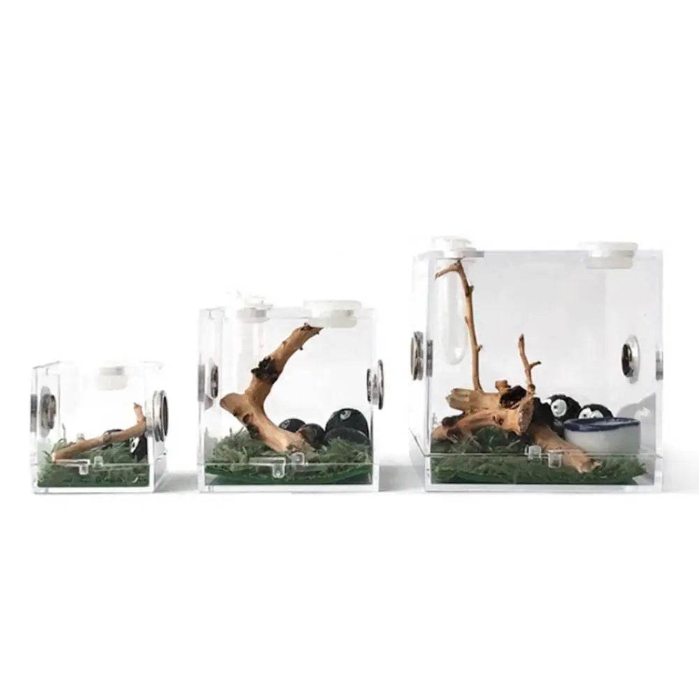 Boîte d'élevage de Reptiles, Cage en acrylique transparent, boîte d'alimentation pour insectes, réservoir de Terrarium anti-fuite pour araignée sautante, 3 tailles - Animaleriex