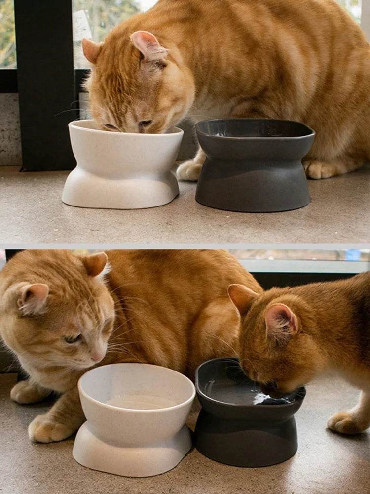 Bol pour animaux de compagnie, distributeur d'eau et de nourriture, pour chat et petit chien 1 pièce - Animaleriex