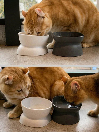 Bol pour animaux de compagnie, distributeur d'eau et de nourriture, pour chat et petit chien 1 pièce - Animaleriex