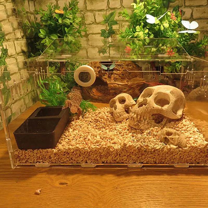 Bol d'alimentation en plastique pour reptiles, Double grille Anti-fuite, bassin d'alimentation en eau, araignée, lézard, insectes, tortue, fournitures d'élevage - Animaleriex