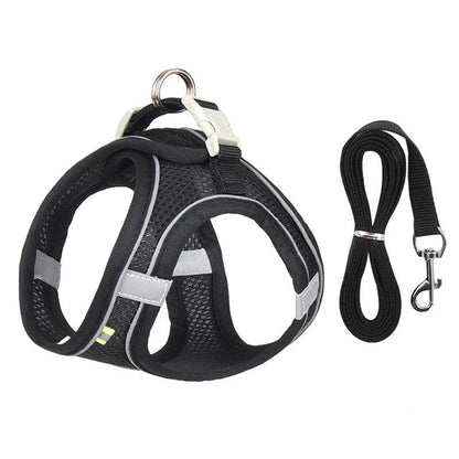 Ensemble de laisse de harnais pour chien pour petits chiens, harnais réglable pour chiot et chat, gilet bouledogue français, Chihuahua, carlin, laisse de marche en plein air - Animaleriex