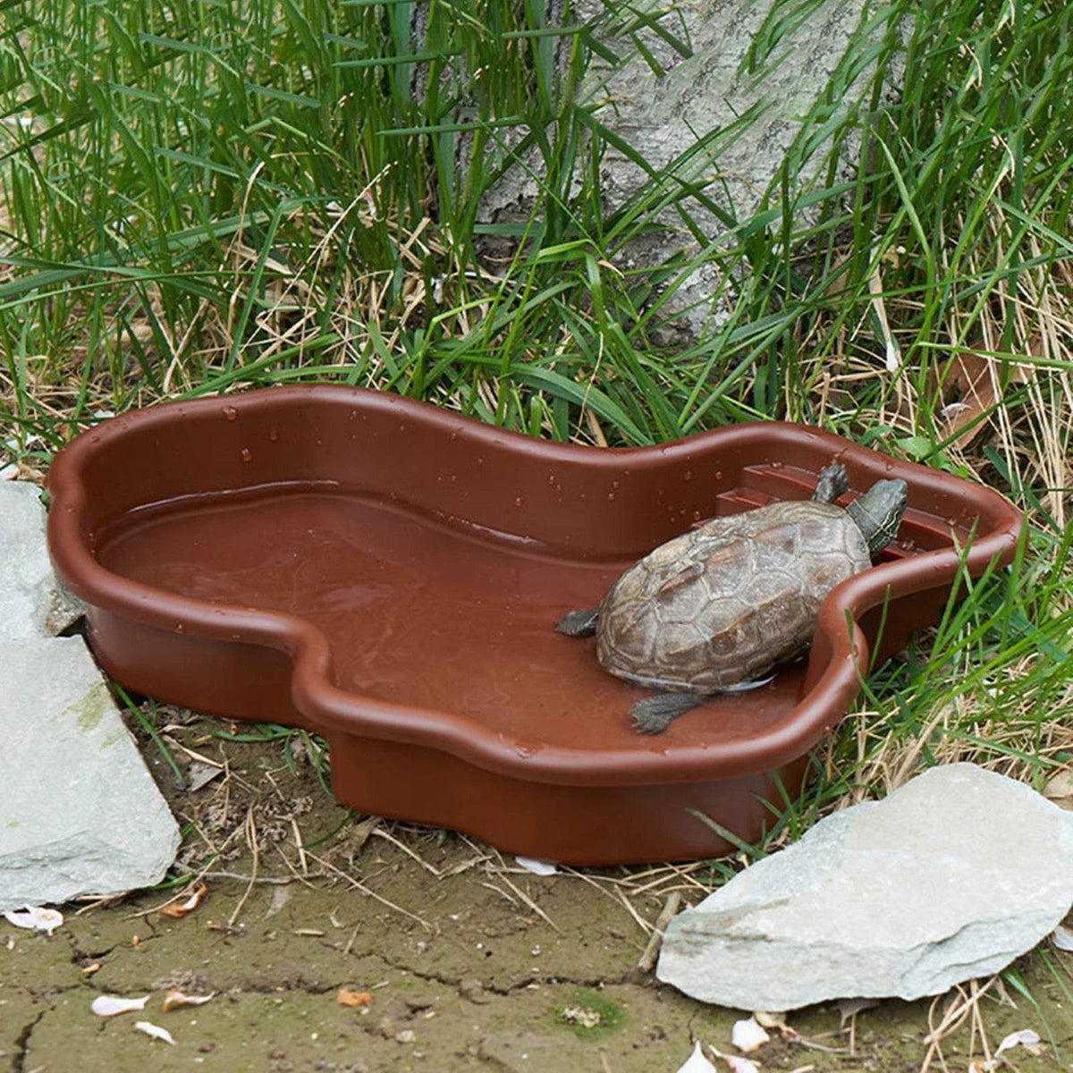 Piscine de baignade pour reptiles, accessoires pour amphibiens, grand bol d'eau avec rampe pour tortue, Hamster, Scorpion, léopard - Animaleriex
