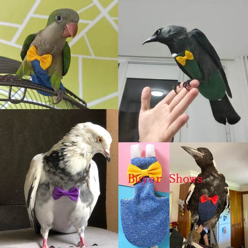 Couche-culotte pour perroquet, Pigeon, combinaison de vol pour oiseaux, vêtements pour perroquet à joues vertes, perruche, calopsitte, Conure, petits, moyens et grands oiseaux - Animaleriex