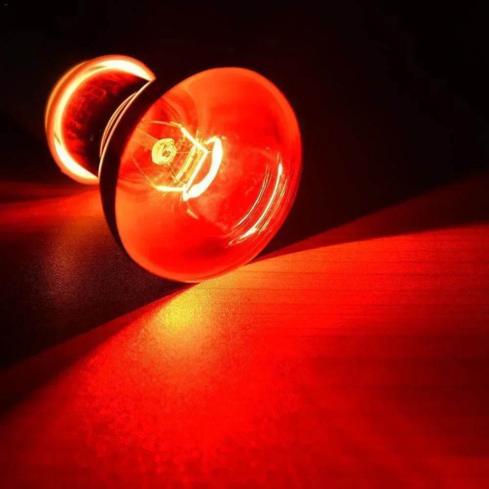 Lampe chauffante rouge amphibie UVA 220V, 25/40/50/60/75/100W, lampe infrarouge, ampoule en verre, accessoires pour Reptiles, serpents, lézards - Animaleriex
