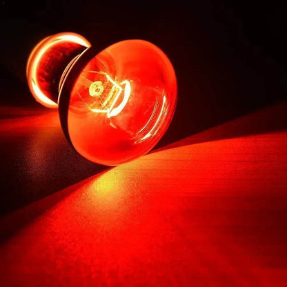 Lampe chauffante rouge amphibie UVA 220V, 25/40/50/60/75/100W, lampe infrarouge, ampoule en verre, accessoires pour Reptiles, serpents, lézards - Animaleriex