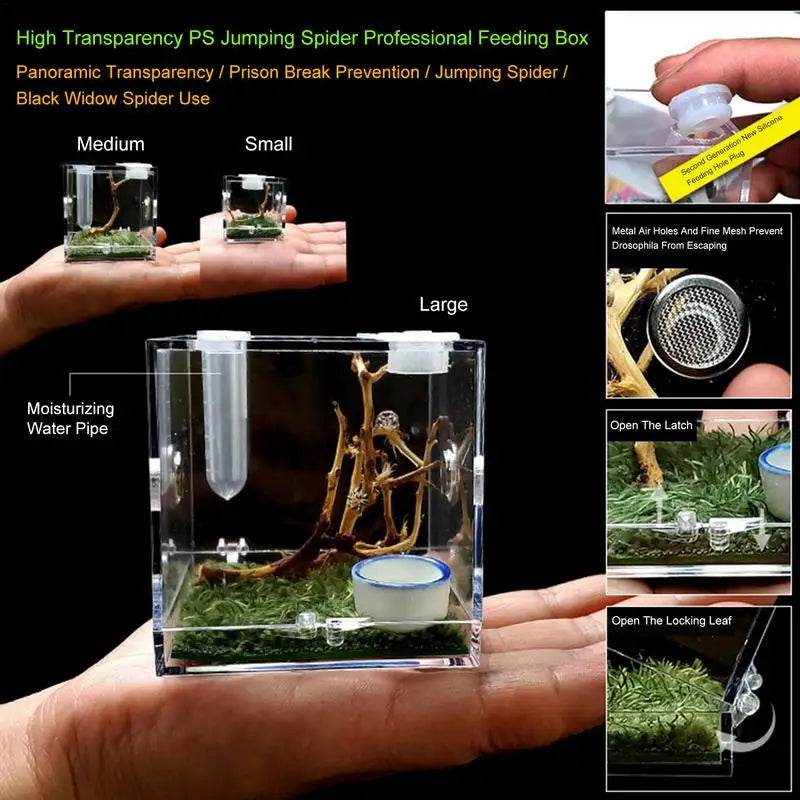 Boîte d'élevage de Reptiles, Cage en acrylique transparent, boîte d'alimentation pour insectes, réservoir de Terrarium anti-fuite pour araignée sautante, 3 tailles - Animaleriex