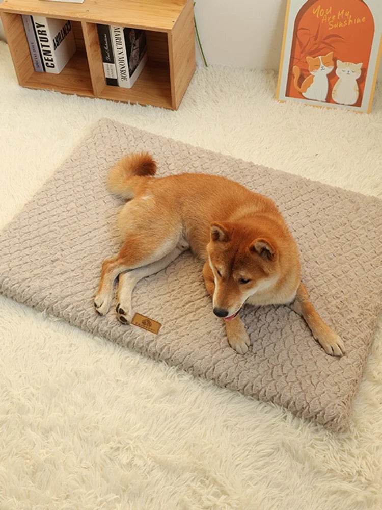 Lit pour animaux de compagnie en mousse à mémoire de forme, avec housse amovible en fausse fourrure lavable, lit orthopédique imperméable pour chien, caisse à fond antidérapant - Animaleriex