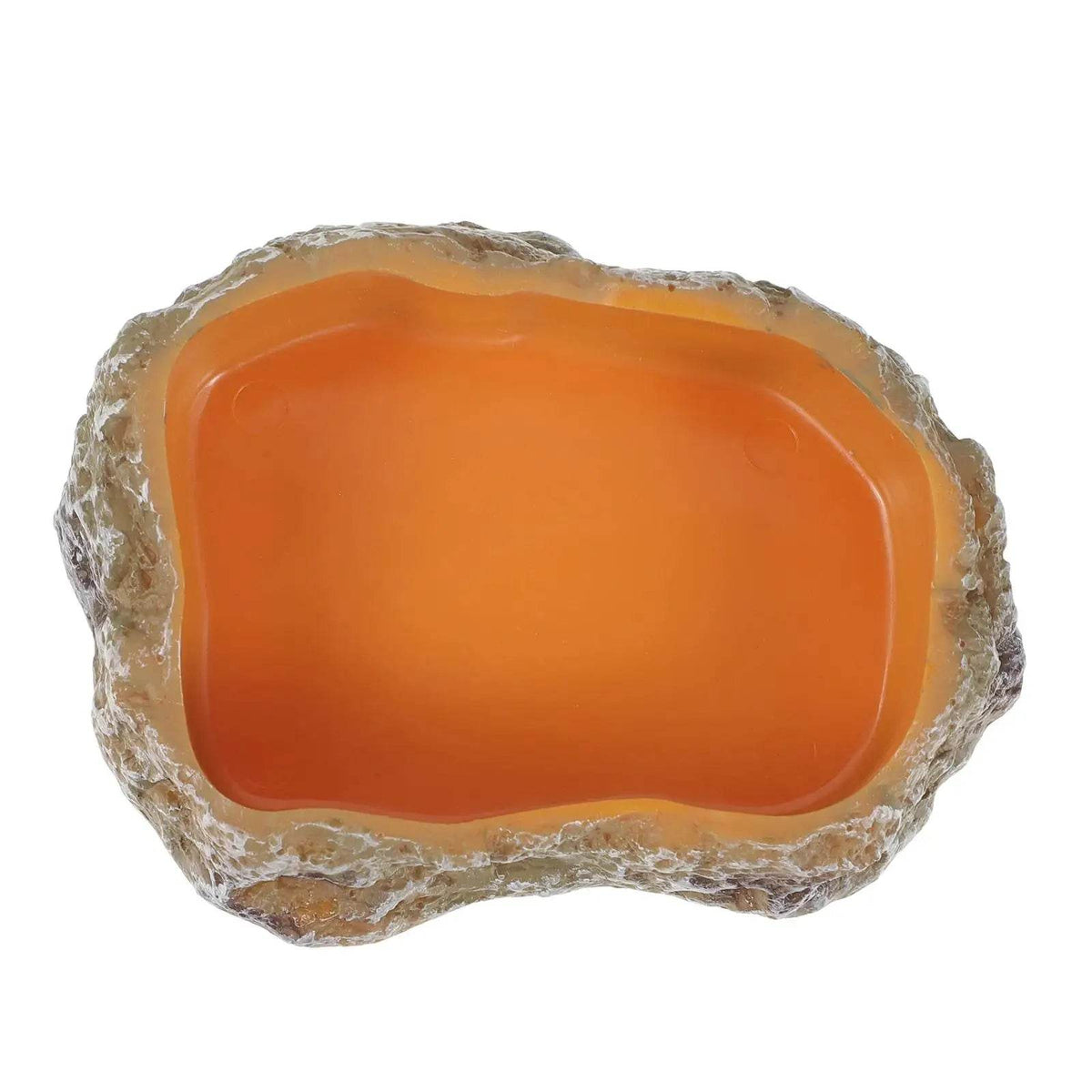 Bols d'eau pour reptiles, plaque de Terrarium, mangeoire pour amphibiens, grenouille, caméléon, tortue, Dragon barbu, tortue - Animaleriex